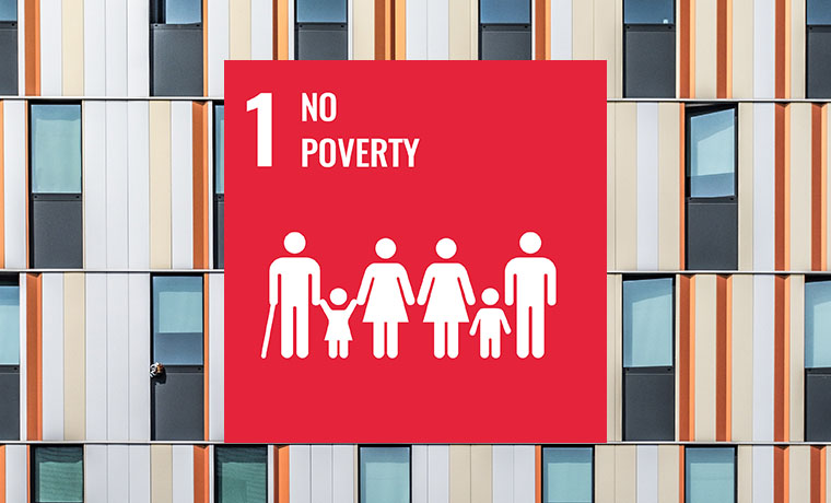 Economic Equality SDG 1 TOC.jpg